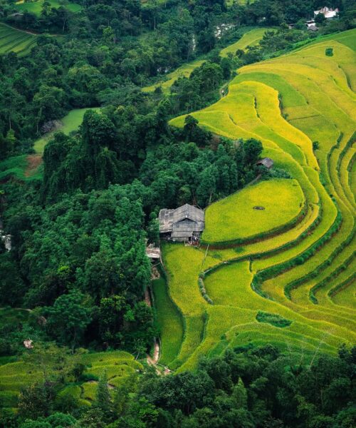 Special Ha Giang Loop Adventure