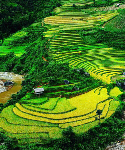 Sapa 3-Day Trekking: Untrodden Paths of Vietnam Tours
