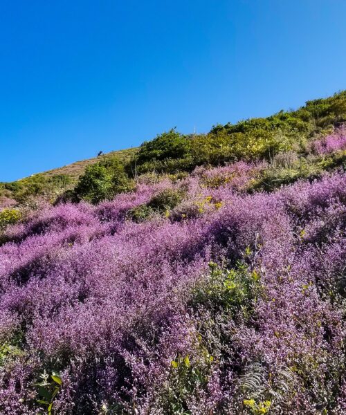 Epic Trekking Ta Xua Mountain 3 Days 3 Nights