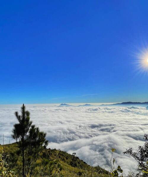 Beyond the Tourist Trail Vietnam Tours: Trekking Ta Xua Mountain 3 Days 2 Nights