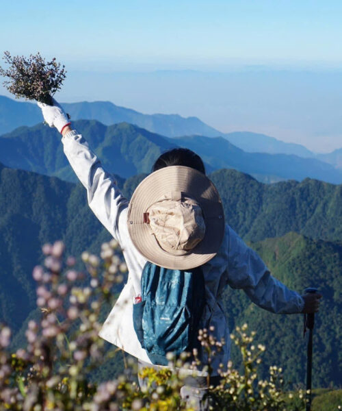 Trekking To Cloud Heaven Mountain And Magic Moss Forest: Ta Xua & Ta Chi Nhu (Yen Bai Province)