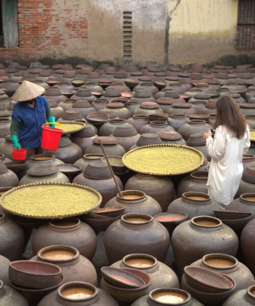 Discovery Culture and Photography Tour To Tho Ha Rice Paper - Phu Lang Pottery - Soybean Village