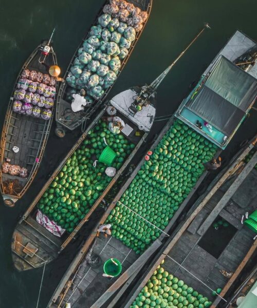 Mekong Delta Discovery: My Tho, Ben Tre & Cai Rang Adventure