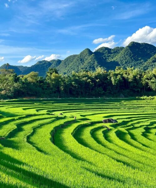 Pu Luong Nature Reserve Day Tour: A Hidden Gem Awaits