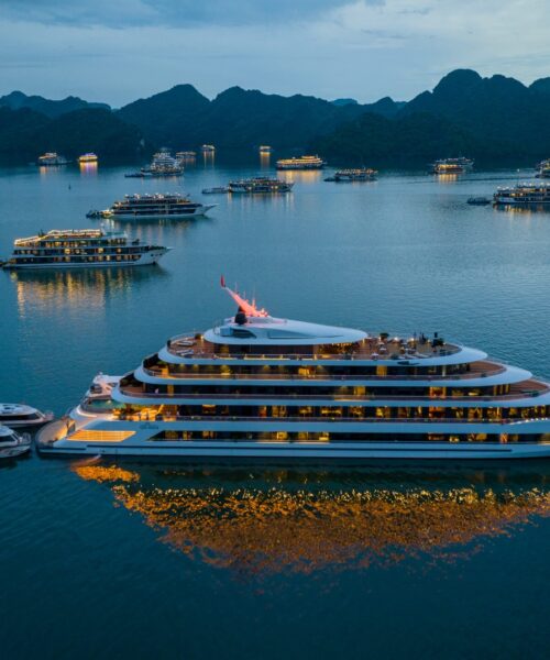 Seastars Cruise | Bai Tu Long - Halong Bay