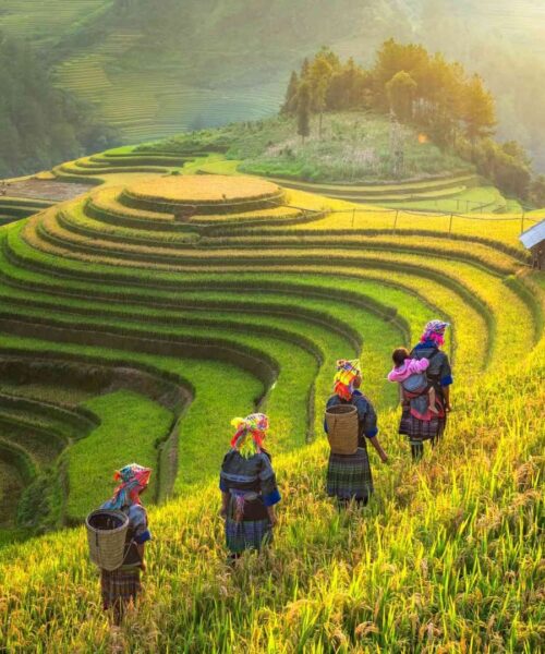 Vietnam Odyssey: 9 Days of Culture, Nature, and Unforgettable Adventures