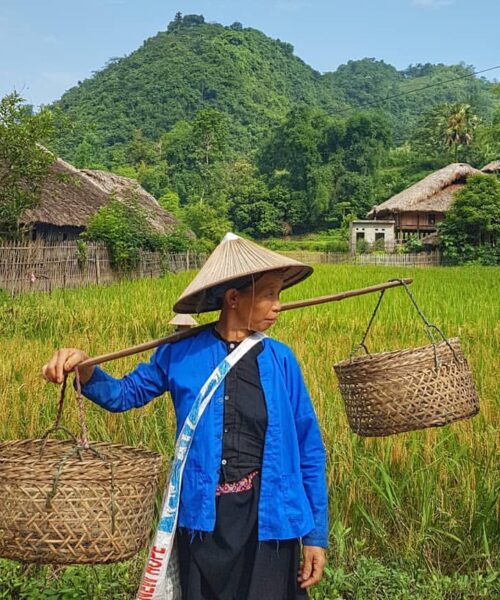 Ha Giang Comfort: Ride, Trek, and Discover