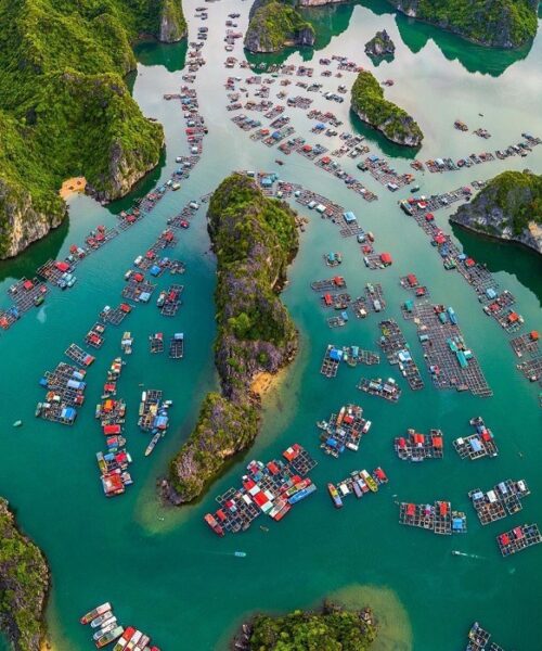 Lan Ha Bay Adventure: A Perfect Day of Nature and Culture