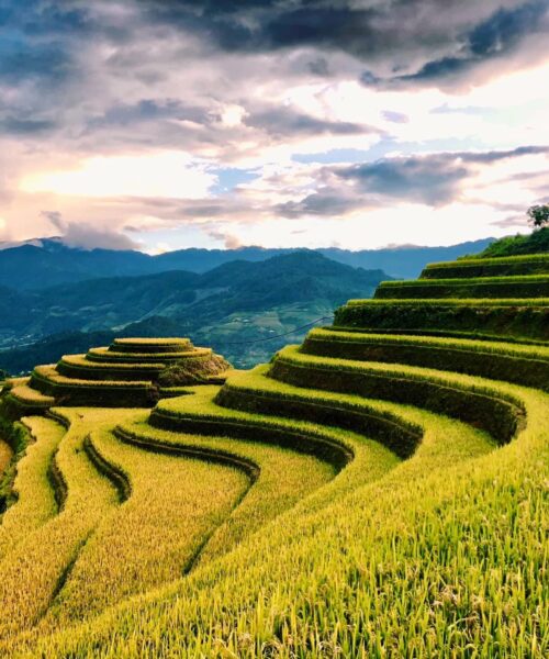 Conquer Fansipan and Mu Cang Chai Through 5-Day Trekking Adventure