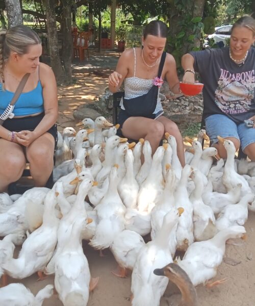Phong Nha Cycling & Cooking Adventure In Duck Stop – Ride, Explore & Cook Like a Local