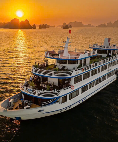 Swan Cruise | Bai Tu Long Bay