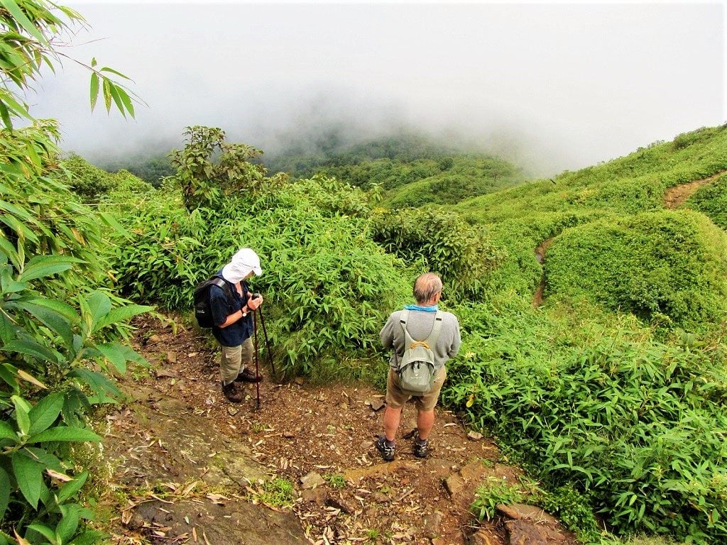 Hiking-Fansipan