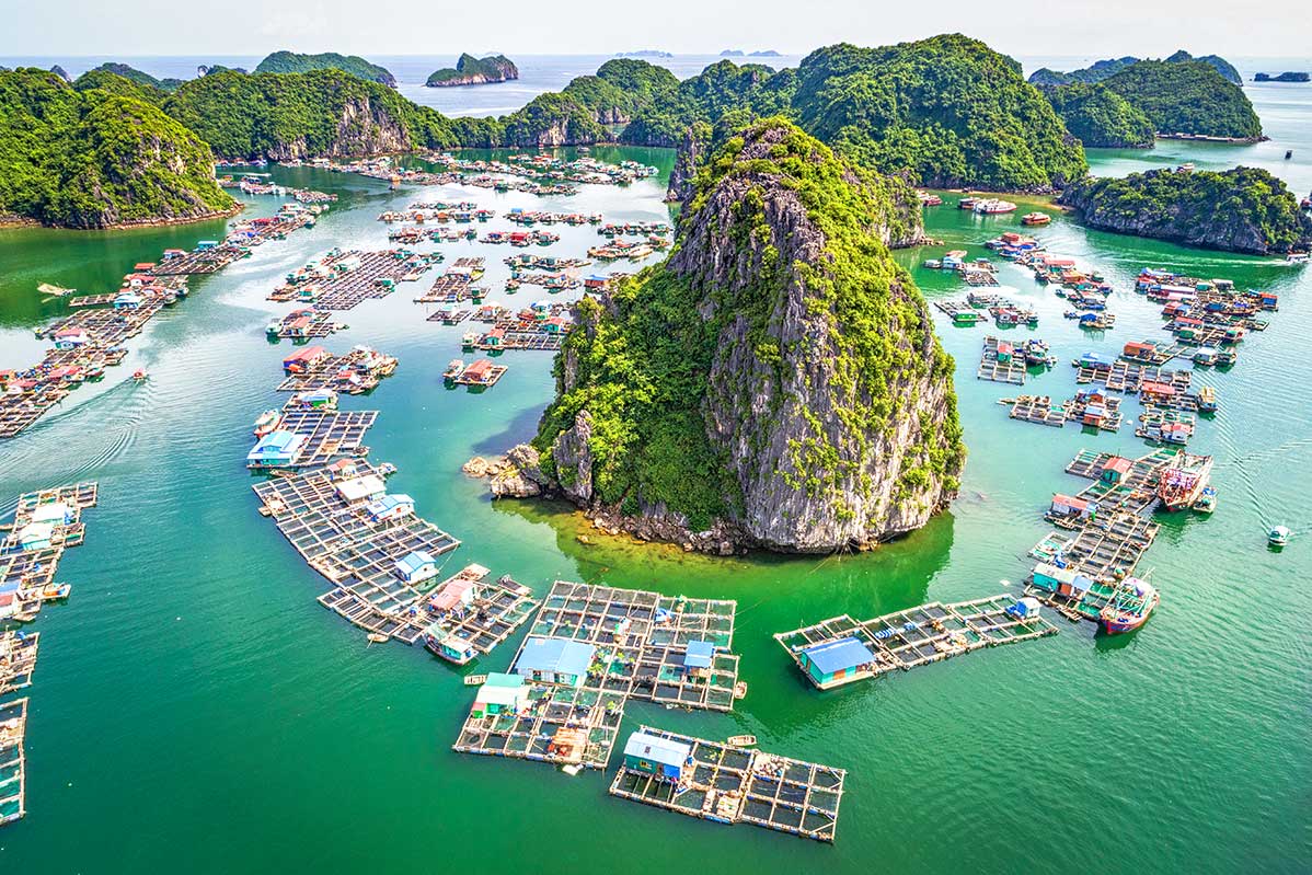 lan-ha-bay-floating-village-1
