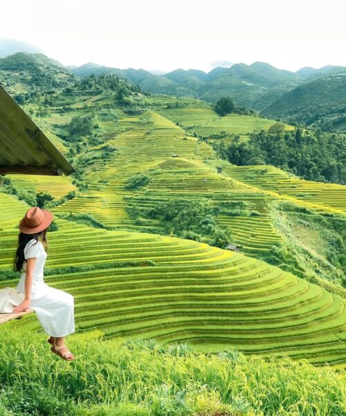 3 Days Hanoi – Mu Cang Chai Tour: Golden Terraced Fields & La Pa Tan Trekking Adventure