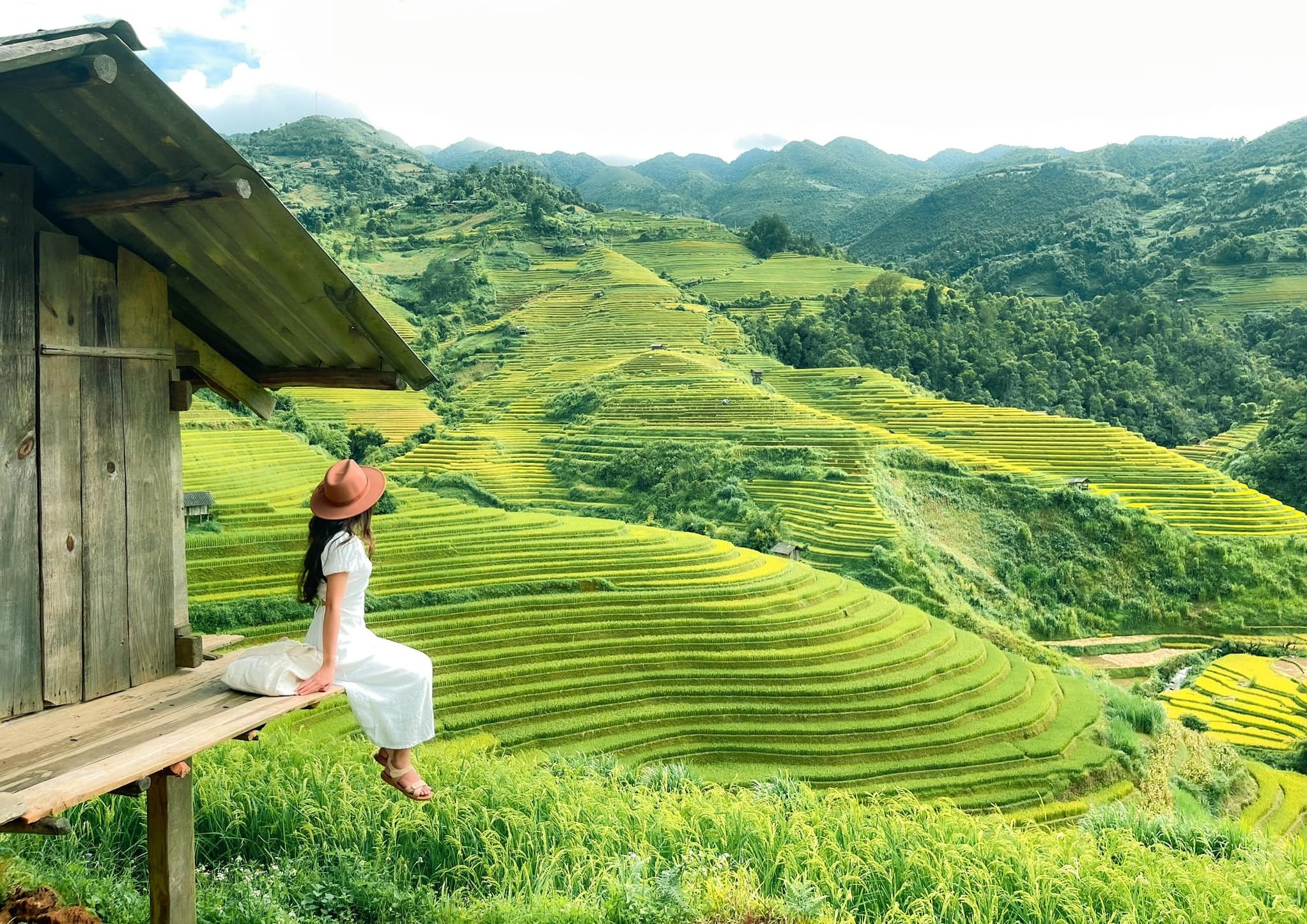 len-mu-cang-chai-ngam-ruong-bac-thang-mua-lua-chin-145213